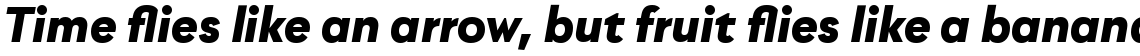 Utily Sans Black Italic