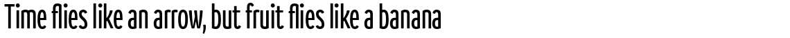 Branding SF Compressed Family
