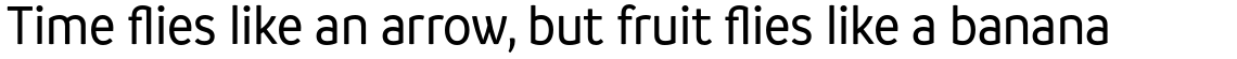 Branding SF Narrow Family