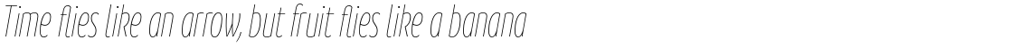Branding SF Cmp Thin Italic