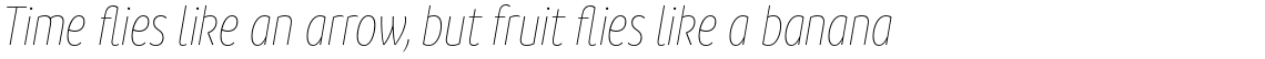 Branding SF Cnd Thin Italic
