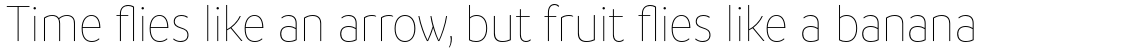 Branding SF Narrow Thin