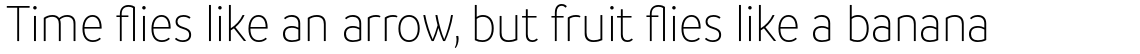 Branding SF Narrow Light