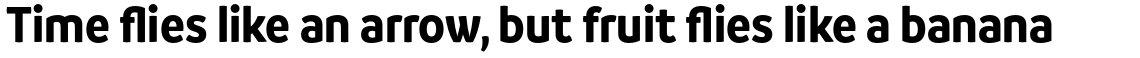 Branding SF Narrow Bold