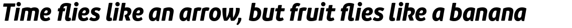 Branding SF Narrow Bold Italic