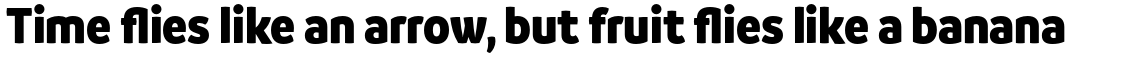 Branding SF Narrow Black