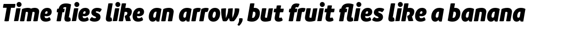 Branding SF Narrow Black Italic