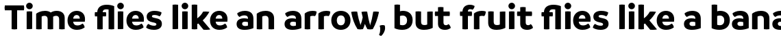 Branding SF Bold