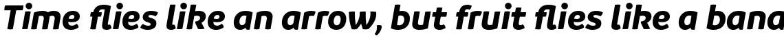 Branding SF Bold Italic