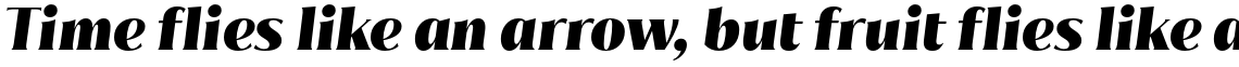 Jazmin Black Italic