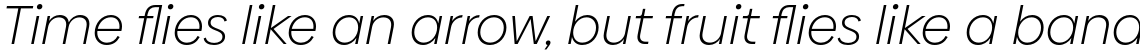 Biennale Light Italic