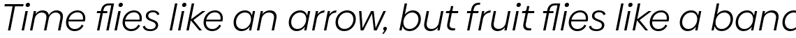 Biennale Book Italic