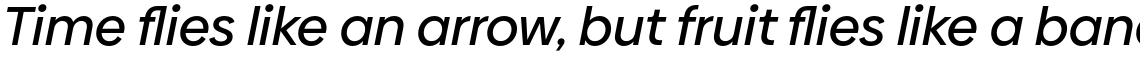 Biennale Medium Italic