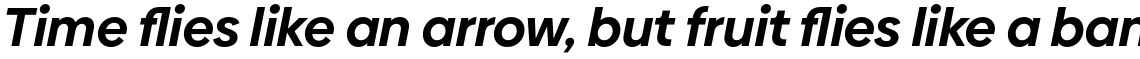 Biennale Bold Italic