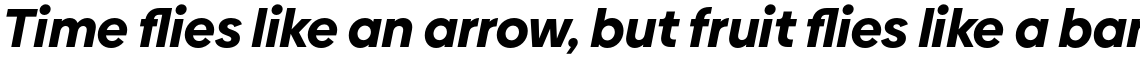 Biennale Black Italic
