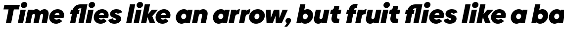 Biennale Heavy Italic