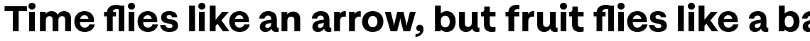 Magazine Grotesque Bold