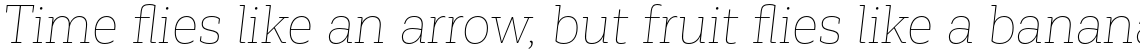 Corporative Slab Hair Italic