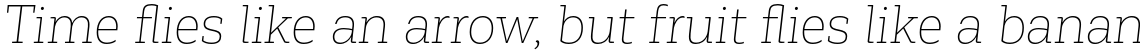 Corporative Slab Thin Italic