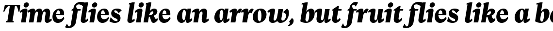 Kenac Black Italic