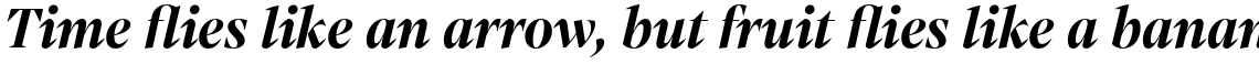 Mixta Pro Bold Italic