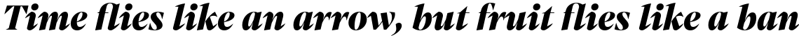 Mixta Pro Black Italic