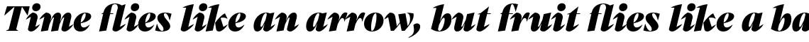 Mixta Pro Heavy Italic
