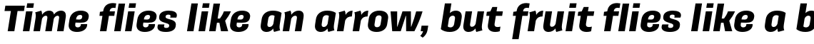 Galeana Standard Black Italic