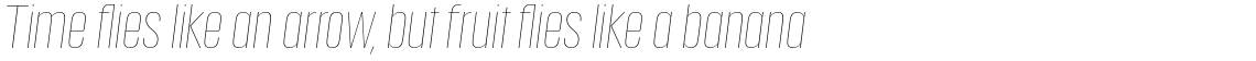 Anguita Sans Thin Italic