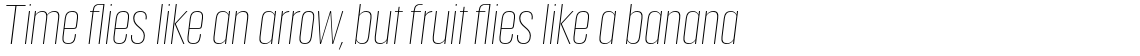 Anguita Sans Extra Light Italic