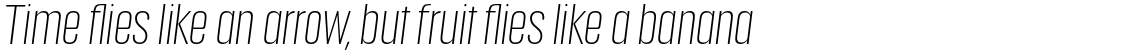 Anguita Sans Light Italic