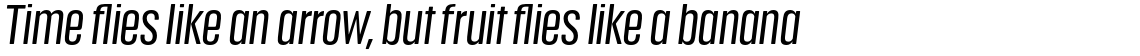 Anguita Sans Medium Italic
