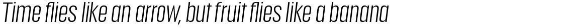 Anguita Sans Regular Italic