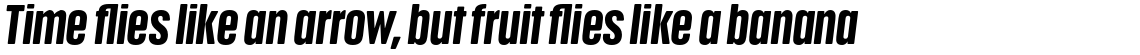 Anguita Sans Bold Italic