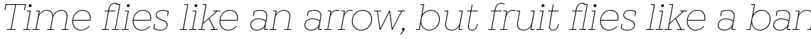 Winden Thin Italic