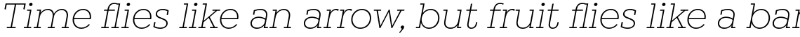 Winden Light Italic