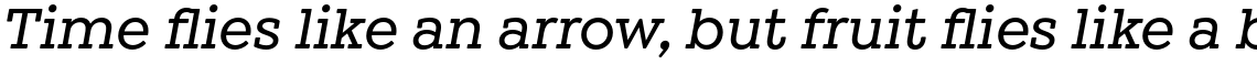 Winden Medium Italic