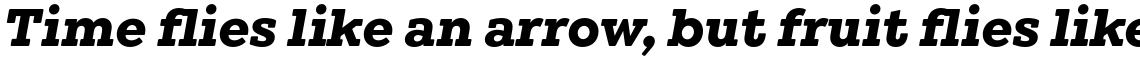 Winden Bold Italic