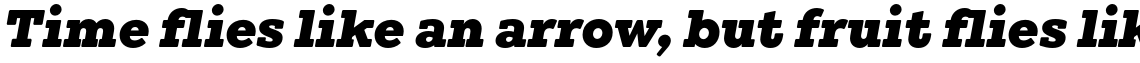 Winden Black Italic