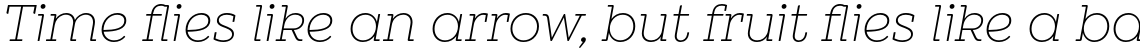 Winden Alt Light Italic