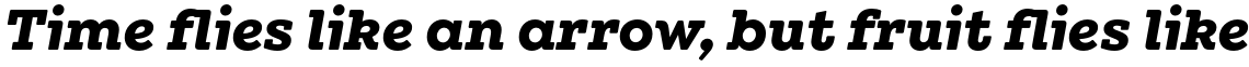 Winden Alt Bold Italic