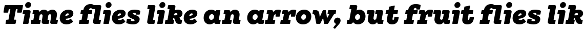 Winden Alt Black Italic