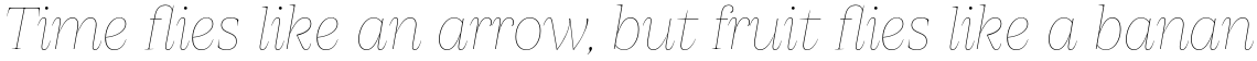 Apparel Thin Italic