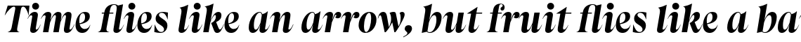 Apparel Black Italic
