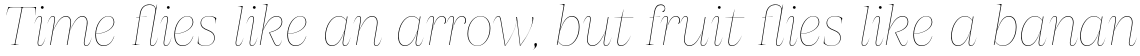 Apparel Display Thin Italic