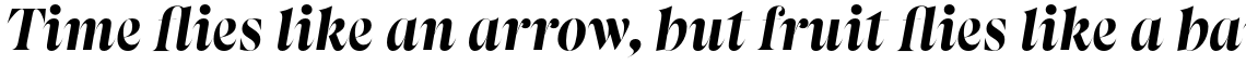 Apparel Display Black Italic