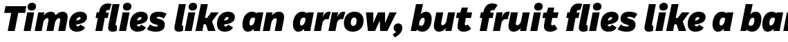 Aestetico Formal Black Italic