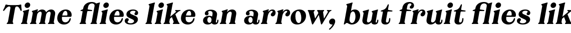 Grobek Bold Italic