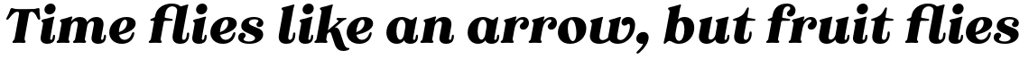 Grobek Alt Black Italic