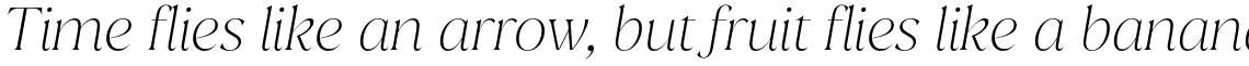 Juana Thin Italic